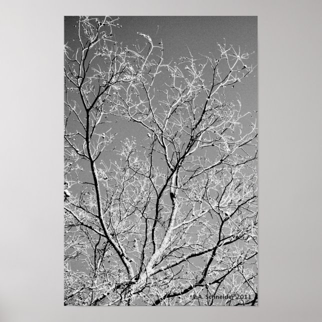 Tree Lace von E.A. Schneider Poster (Vorne)