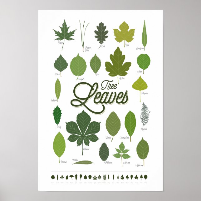 TREE LEAVES Plakat (Vorne)