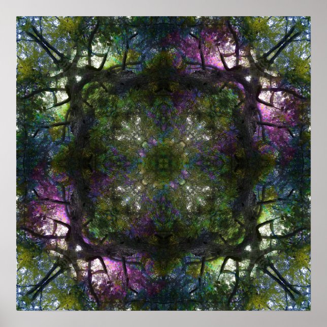 Tree Magic Poster 20" x 20" (Vorne)