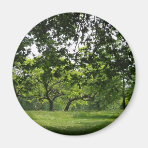 Tree Magnet