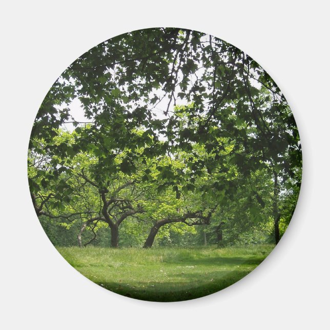 Tree Magnet (Vorne)