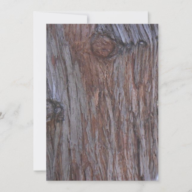 Tree Men Faces Note Card Dankeskarte (Vorderseite)