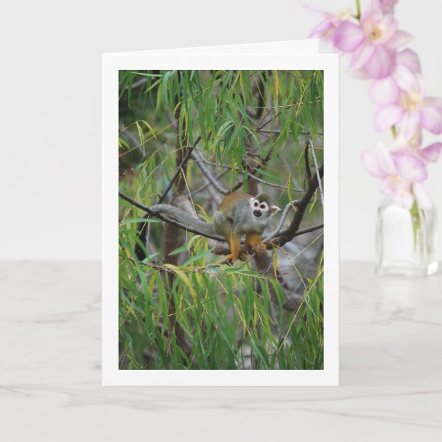 Tree Monkey Karte (Orchidee)