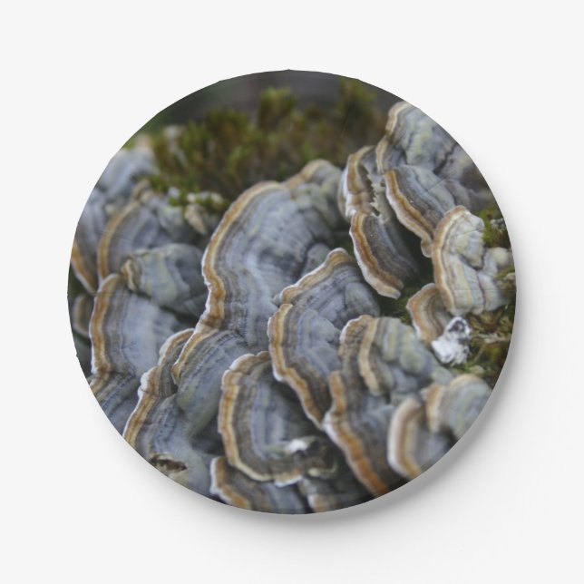 Tree Mushrooms Foto Paper Teller (Vorderseite)