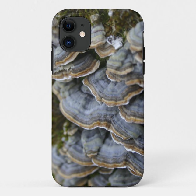 Tree Mushrooms Telefongehäuse, iPhone SE + iPhone  Case-Mate iPhone Hülle (Rückseite)