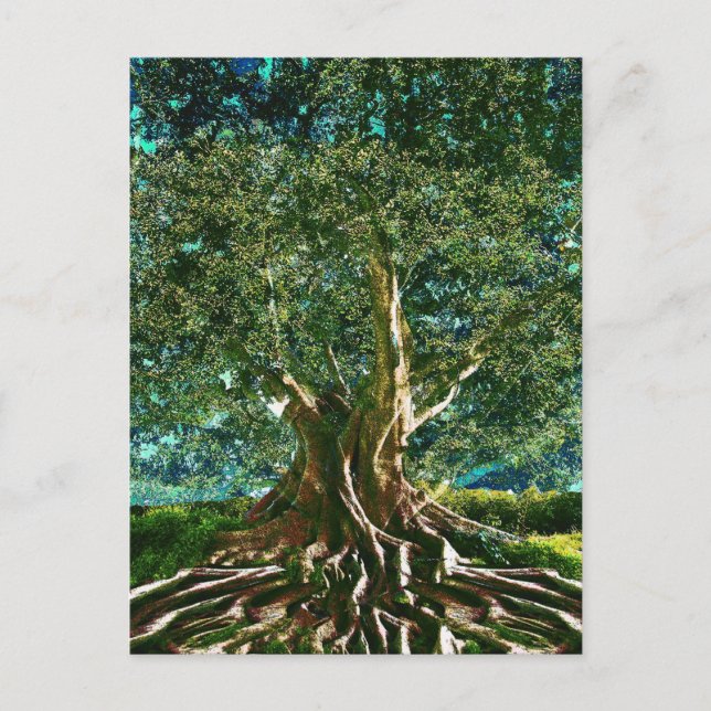 Tree of Life Green Postkarte (Vorderseite)