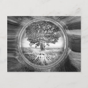 Tree of Life Hope Black White Postkarte
