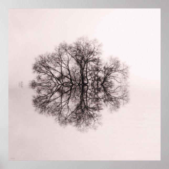 Tree of Reflection 2 Art Poster Print (Vorne)