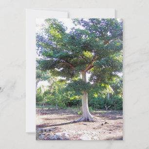 Tree of Wisdom-personalisierte Einladungen