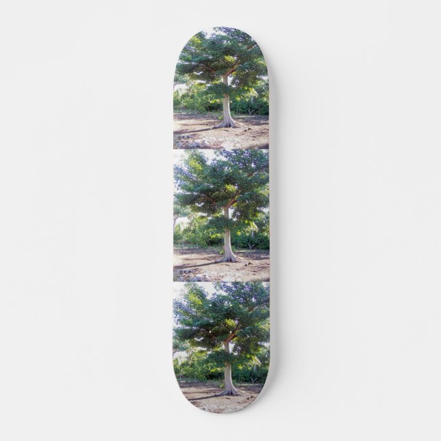 Tree of Wisdom Skateboard (Vorne)