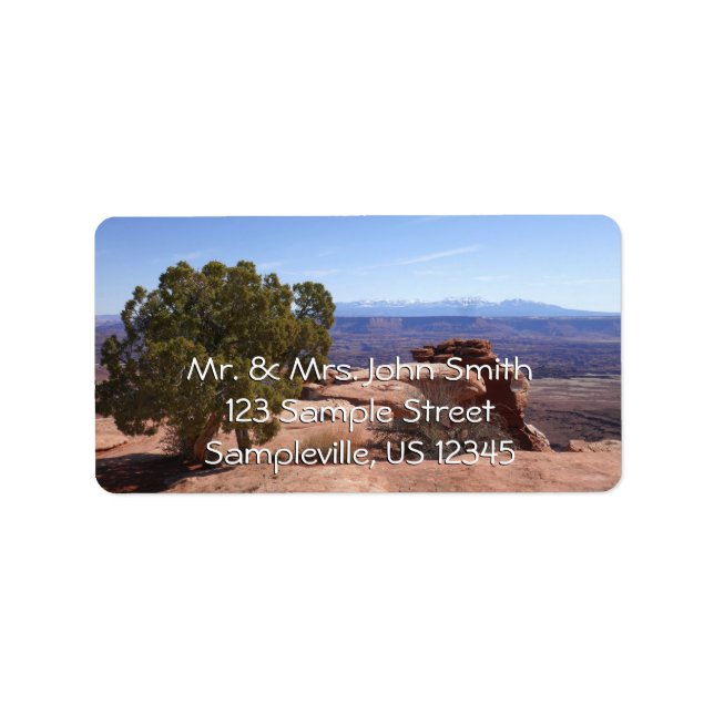 Tree Out of Red Rocks II at Canyonlands Adressaufkleber (Vorne)