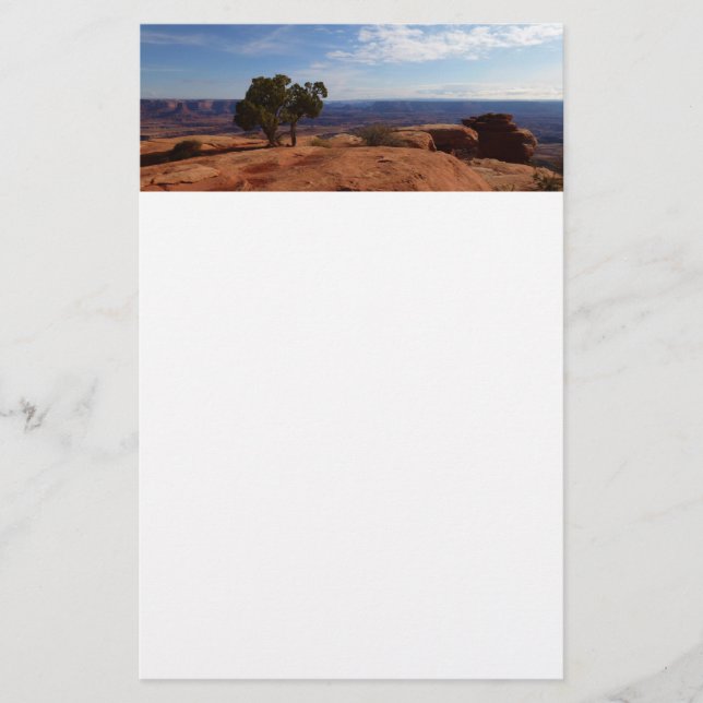 Tree Out of Red Rocks im Canyonlands National Park Briefpapier (Vorderseite)