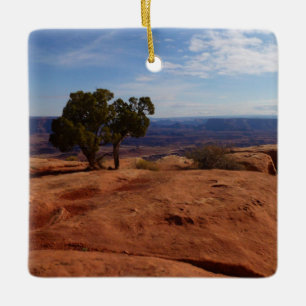 Tree Out of Red Rocks im Canyonlands National Park Keramikornament