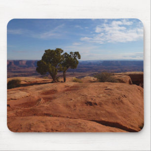 Tree Out of Red Rocks im Canyonlands National Park Mousepad