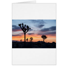 Tree Park Party Personalize Destiny Destiny's