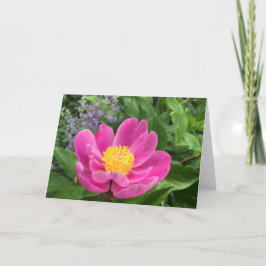 Tree Peony Blank Greeting Card Dankeskarte