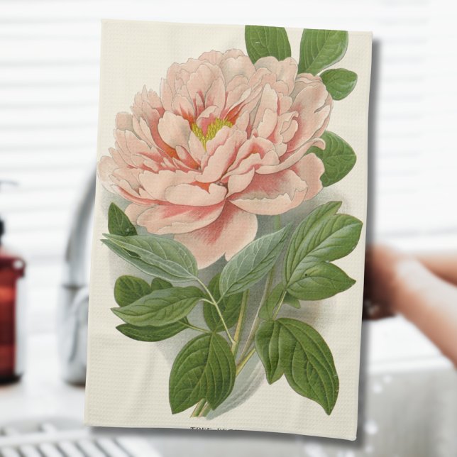 Tree Peony - Elegantes Vintages botanisches Design Geschirrtuch (Von Creator hochgeladen)