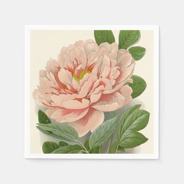 Tree Peony - Elegantes Vintages botanisches Design Serviette (Vorderseite)