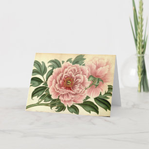 Tree Peony Vintag Note Card Karte