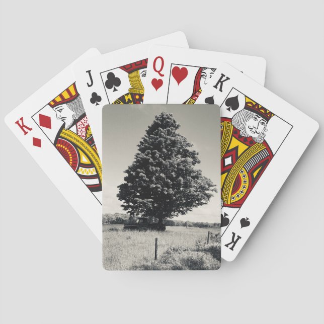 tree playing cards spielkarten (Rückseite)