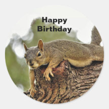Tree Reclining Eichhörnchen Geburtstag