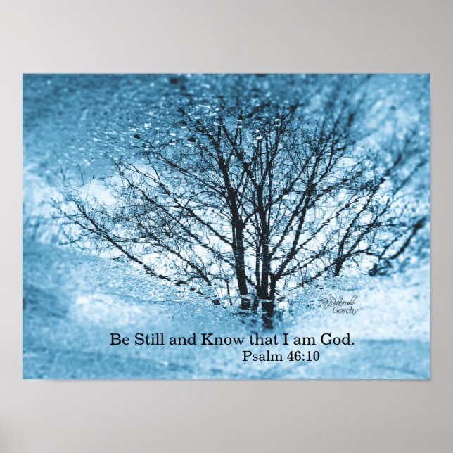 Tree Reflection Poster (Vorne)