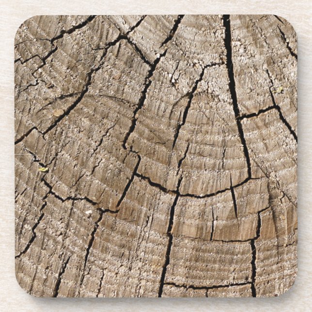 Tree Rings Untersetzer (Vorderseite)
