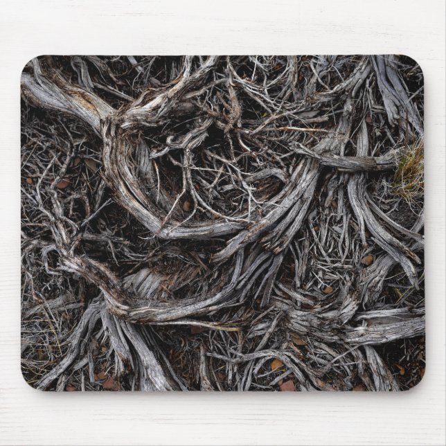 Tree Roots Mousepad (Vorne)