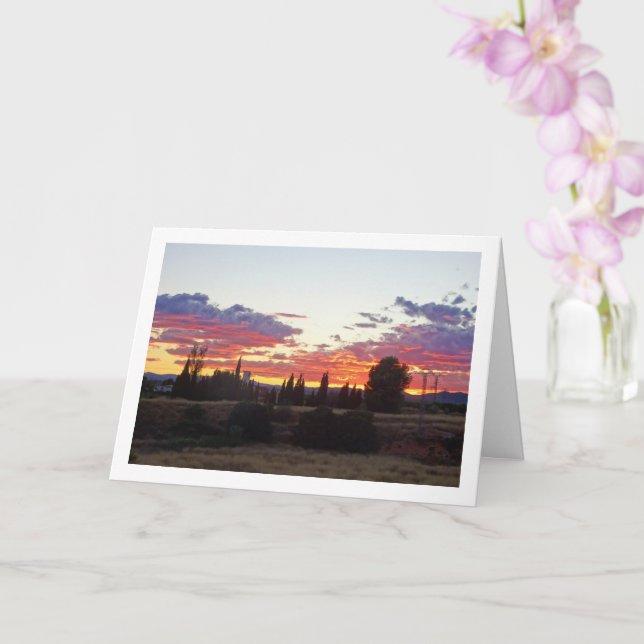 Tree Silhouette Abend Sunset Karte (Orchidee)
