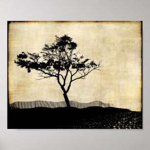Tree Silhouette Foto Art Poster