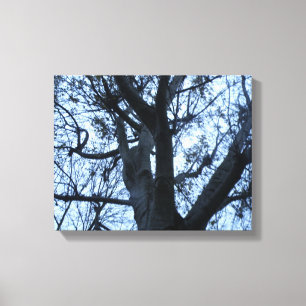 Tree Silhouette Fotogarph Canvas Print Leinwanddruck