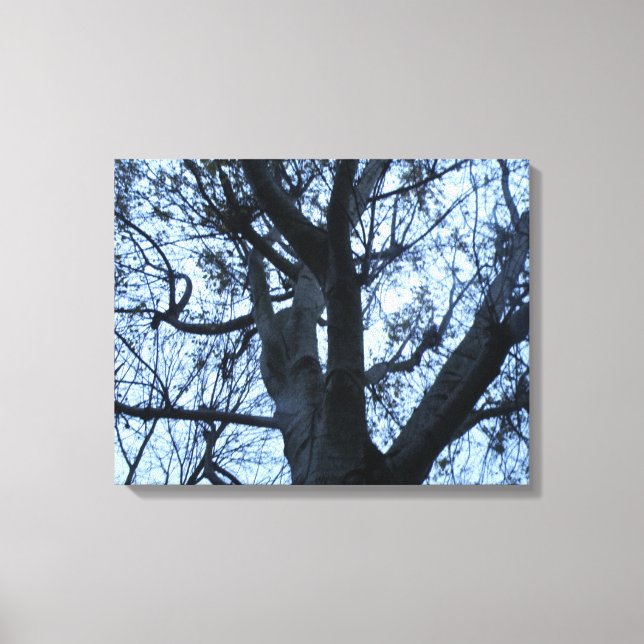 Tree Silhouette Fotogarph Canvas Print Leinwanddruck (Vorderseite)