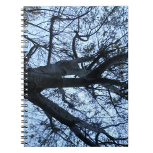 Tree Silhouette Fotograph Notebook Notizblock