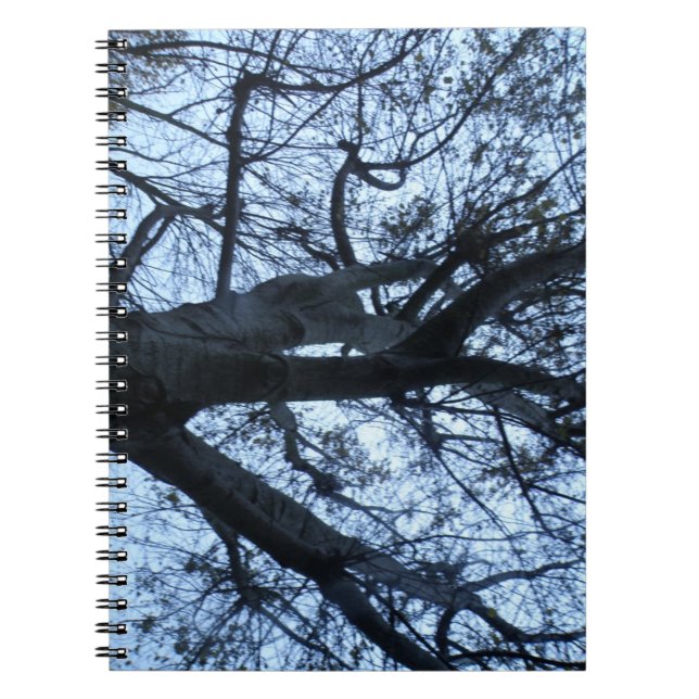 Tree Silhouette Fotograph Notebook Notizblock (Vorderseite)