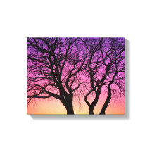 Tree Silhouetten im Sonnenuntergang - Leinwand dru
