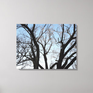 Tree Stretch Canvas Print Leinwanddruck