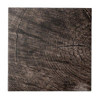 Tree Stump