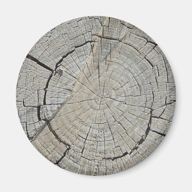 Tree Stump Magnet (Vorne)