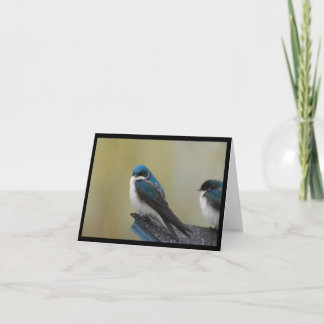 Tree Swallow Note Card (leer) Karte