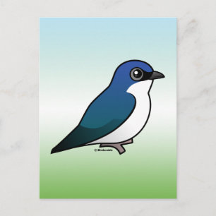 Tree Swallow Postkarte