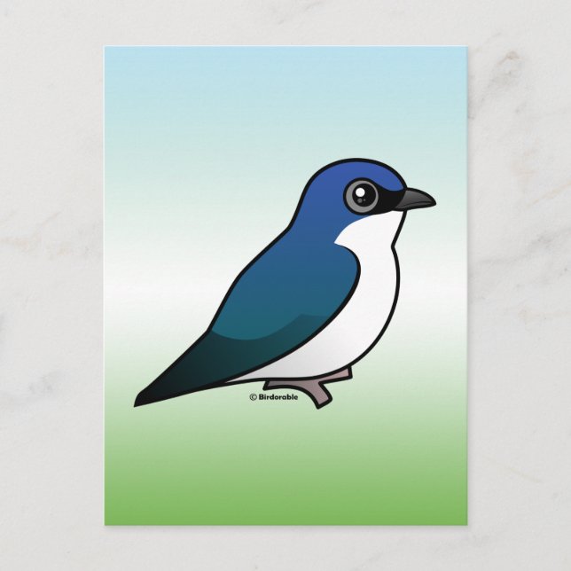 Tree Swallow Postkarte (Vorderseite)