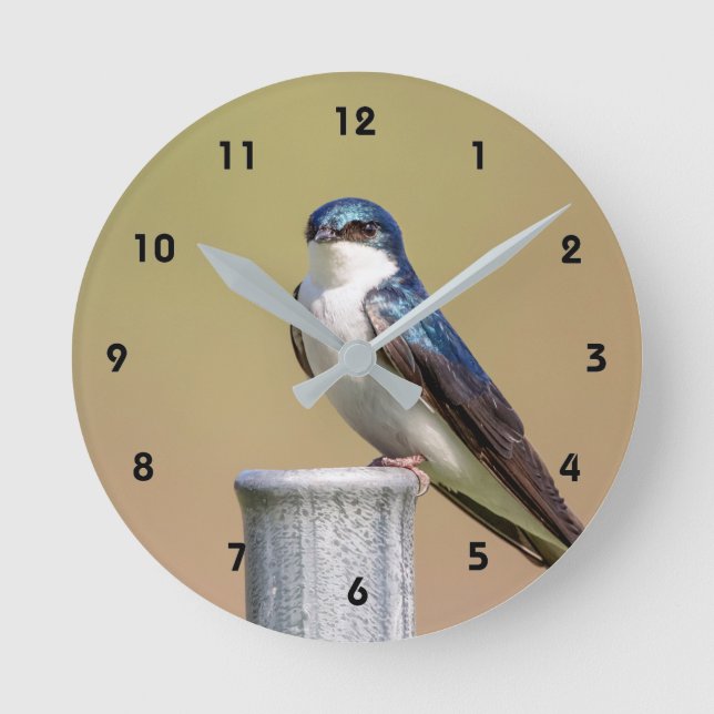 Tree Swallow Runde Wanduhr (Vorderseite)