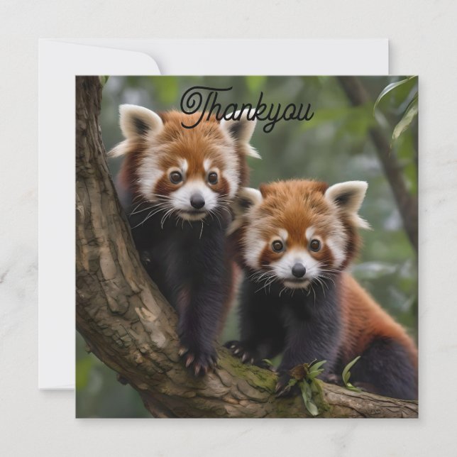 "Tree-top-Explorers: Baby Red Pandas mit Blick auf Dankeskarte (Vorderseite)