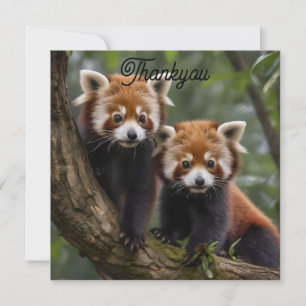 "Tree-top-Explorers: Baby Red Pandas mit Blick auf Dankeskarte