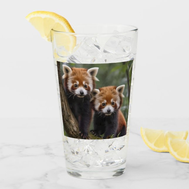 "Tree-top-Explorers: Baby Red Pandas mit Blick auf Glas (Vorderseite Ice)
