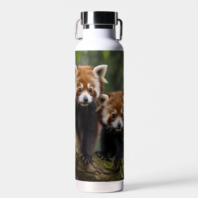 "Tree-top-Explorers: Baby Red Pandas mit Blick auf Trinkflasche (Vorne)