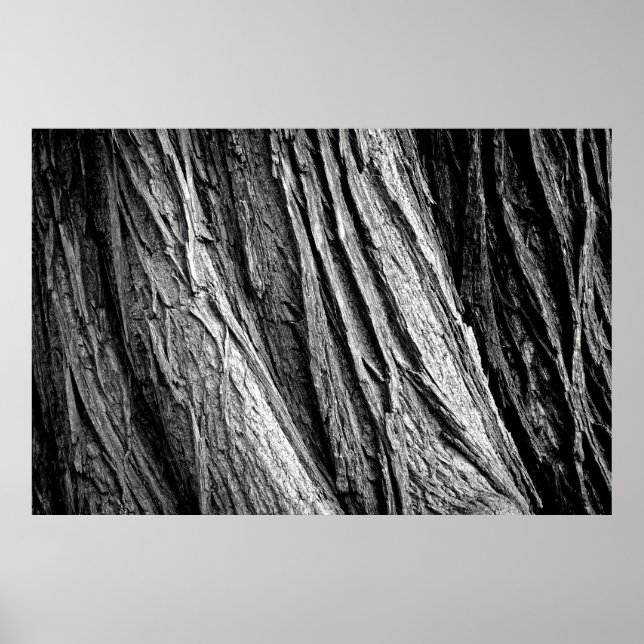 Tree tree bark tribe wood poster (Vorne)