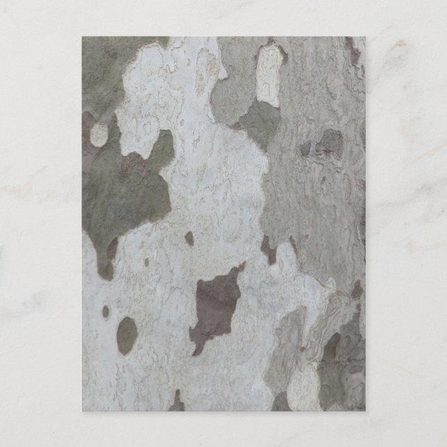 Tree Trunk benutzerdefinierte Postkarte (Vorderseite)