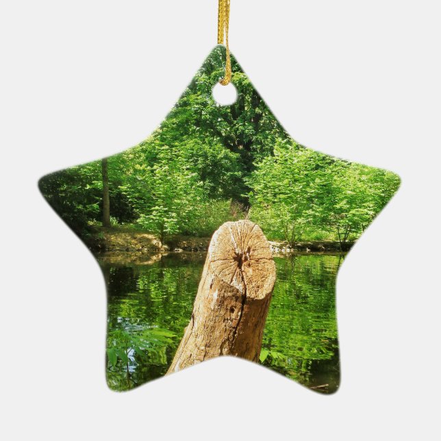 Tree Trunk Nature Fotografy Lake Park Keramik Ornament (Hinten)