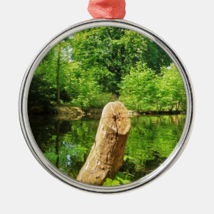 Tree Trunk Nature Fotografy Lake Park Silbernes Ornament